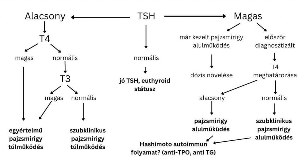 TSH-diagnosztikai-logika