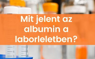 Mit jelent az albumin a laborleletben?