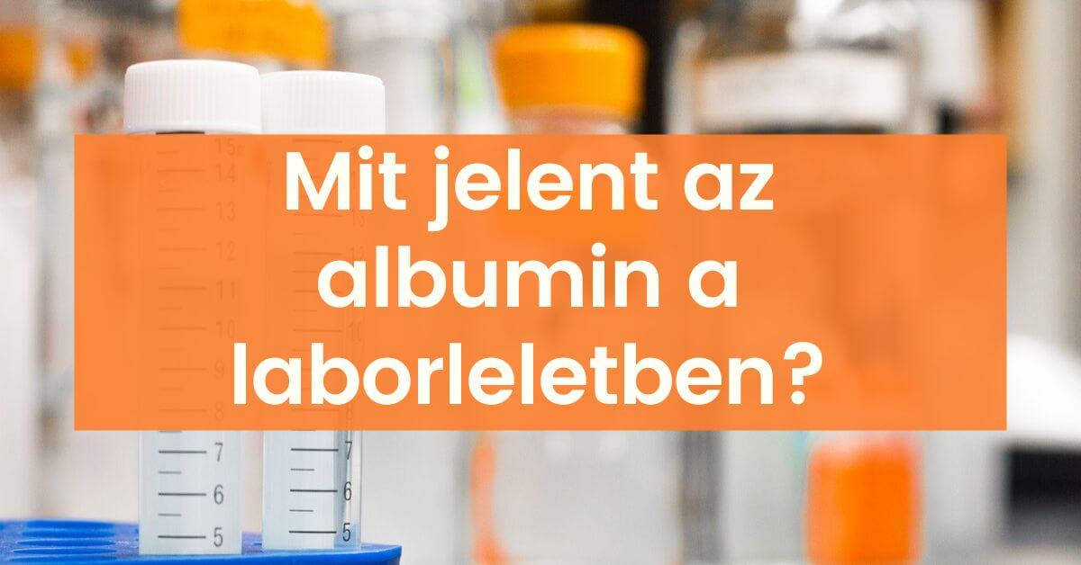 Mit jelent az albumin a laborleletben