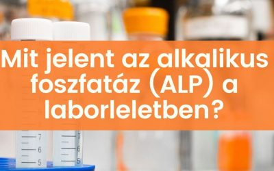 Mit jelent az alkalikus foszfatáz (ALP) érték a laborleletben?