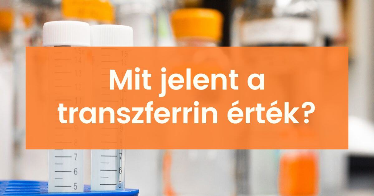 Mit jelent a transzferrin érték a laborleletben