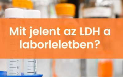 Mit jelent az LDH érték a laborleletben?